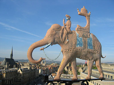 Elephant on roof photo