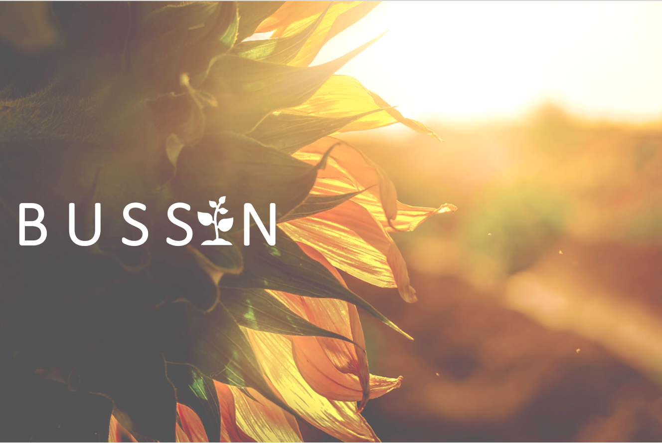 sunsets sunflowers backlit with PUSSIN text in the front