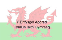 Welsh words on dragon background