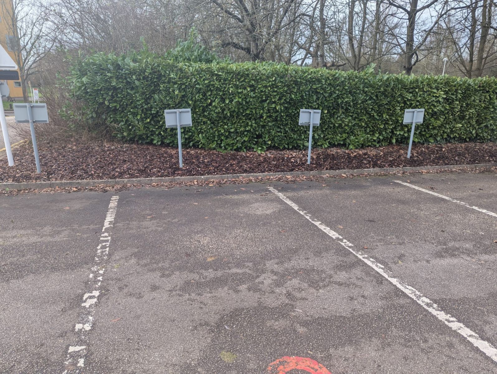 4 car share bay parking spots with their signage face backwards 