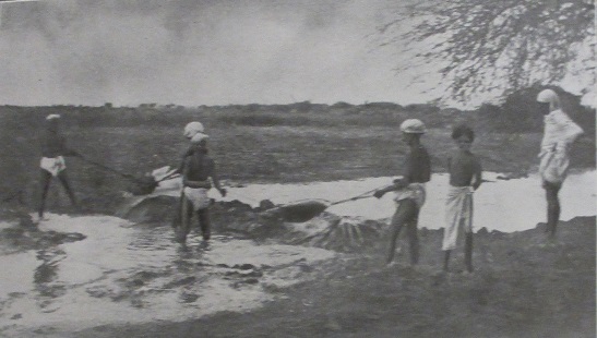 Harvesting water in South India, Bombay Agricultural Department Bulletin 1910. Image credit: British Library