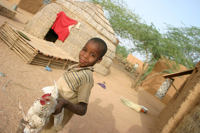 Child carrying a chicken, Azamalan village, north Niger image