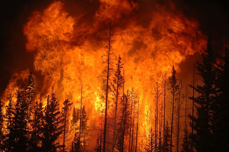 Forest fire, Canada image