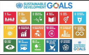 pictorial image of the 17 sustainable development goals