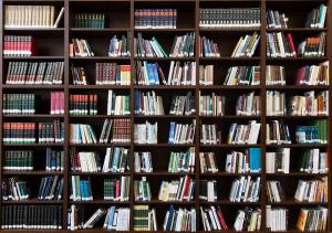 photo of books on book shelf