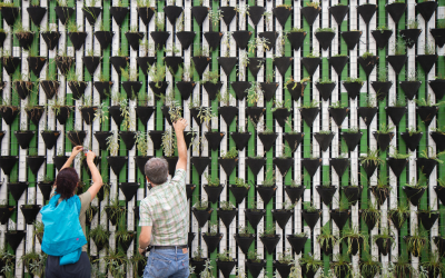 two people at a plant wall