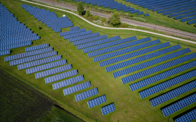 a field of solar panels