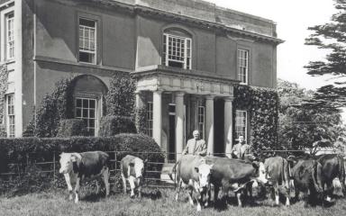 Black and white photograph of Walton Hall from the 50s/60s. The man standing behind the cows to the left is Brigadier Eric Earle who owned the estate until his death in 1965. The man on the right is the Earles' farm manager, Mr. Brown.