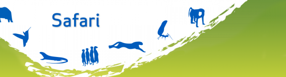 Safari Logo