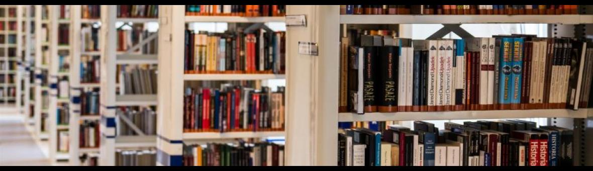 Image of book shelves with books on them. 