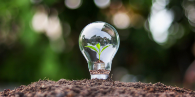 A lightbulb standing upright on a mound of soil, in the lightbulb a green plant is sprouting.
