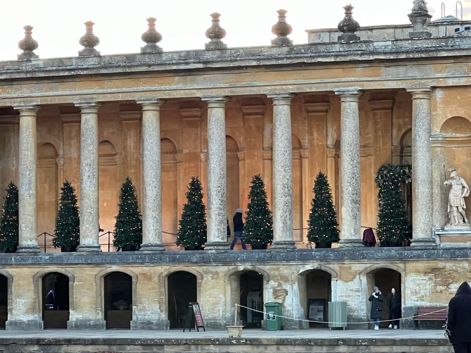 Christmas trees at Blenheim