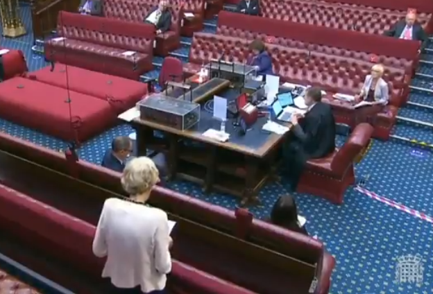 Julia Cumberledge calling for justice (screenshot) in the House of Lords