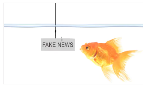 A goldfish looking at a sign on a hook that says 'Fake News'.