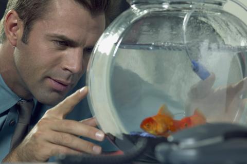 A white man starting at a goldfish in a bowl.
