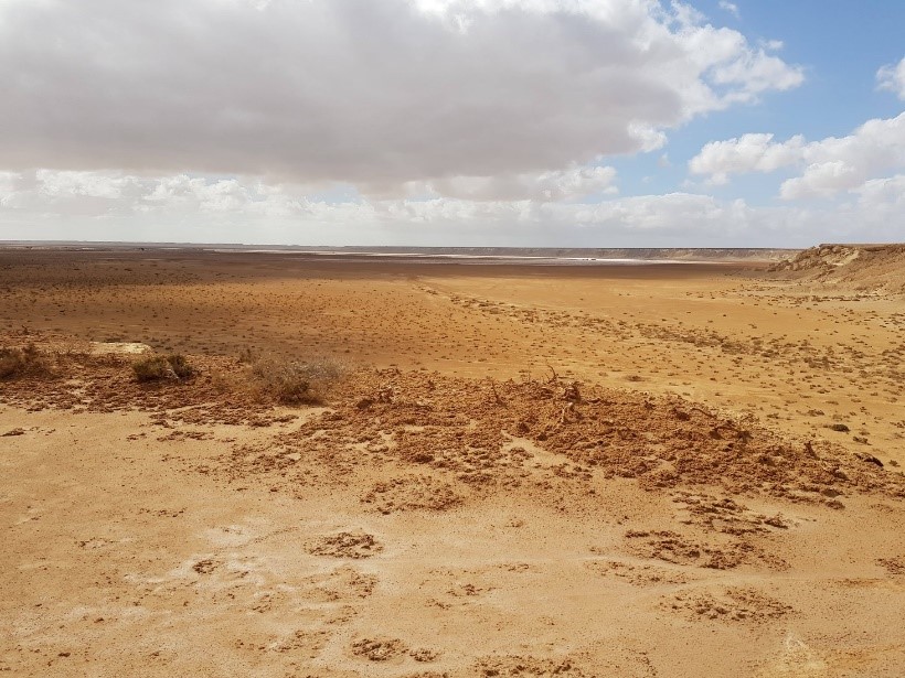 Western Saharan salt flats