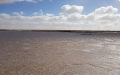 Research on the Western Saharan Salt Flats