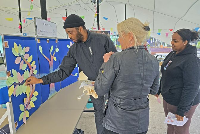 British Science Festival tree leaf placing