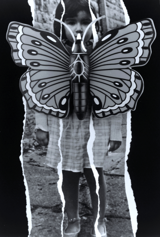 A black and white cartoon butterfly in front of a torn picture of a young girl