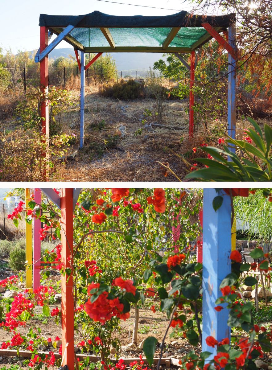 The communal gardens and allotments before and after