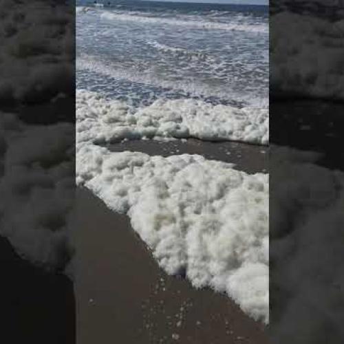 Deadly Sea Foam