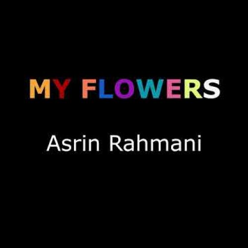 My flowers by Asrin Rahmani