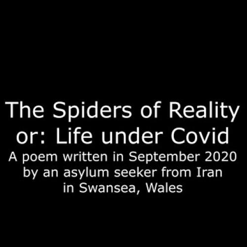 The Spiders of Reality or Life under Covid