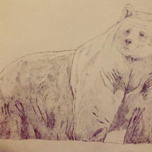 painting of a bear