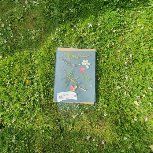 A book on the grass