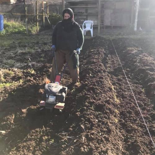 farm digging