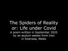 The Spiders of Reality or Life under Covid