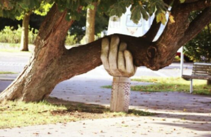 Image of tree being held by statue of a hand