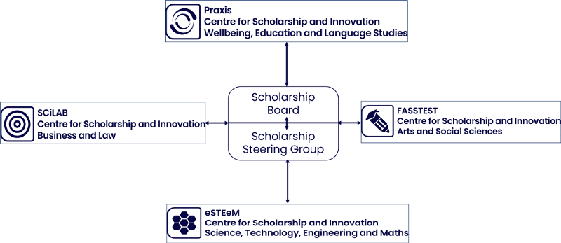 Diagram showing the four Centres for Scholarship and Innovation and how they feed into the Scholarship Board and Steering Group