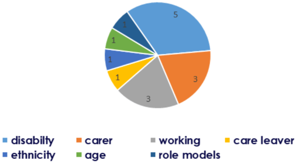 The areas that were addressed by the finalists Disability 5; Carer 3; Working 3; Care Leaver 1; Ethnicity 1; Age 1; Role models 1.