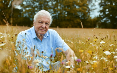 Sir David Attenborough ©Alex Board I Silverback Films I BBC