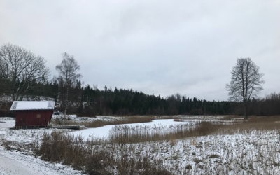 A snowy lake landscape in Bengtsfors, Sweden
