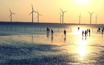 Photo of a windfarm on a beach. 