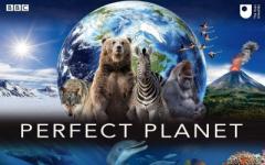 Perfect Planet poster containing with photos of animals and the earth. 