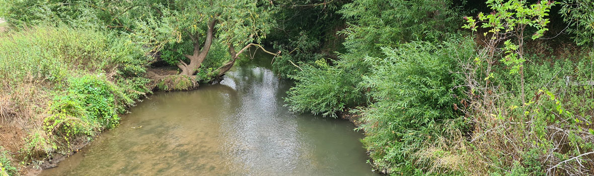 Chalk Streams