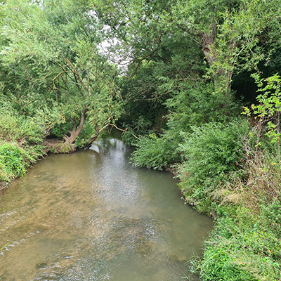 A chalkstream in the UK