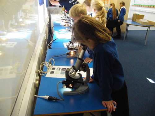 School children using microscopes