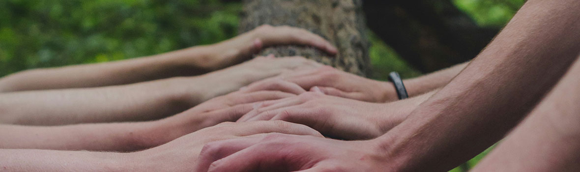 Hands laid out on a tree trunk