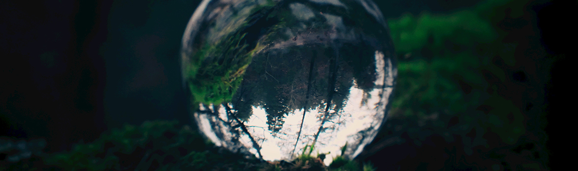 A drop of water reflecting surroundings in a forest