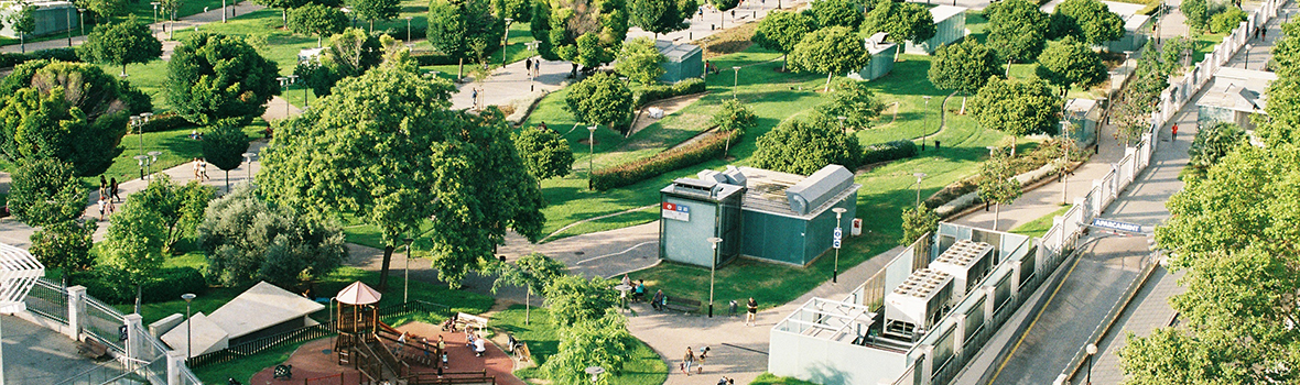 Urban Trees