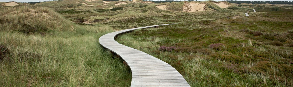 A footbridge over grassy land with sandy dunes in the background