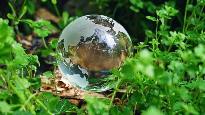 A glass globe showing Asia Pacific region is sitting amongst plants