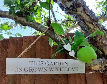 A sign on a tree saying 'this garden is grown with love'