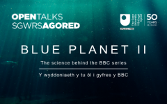 Blue Planet II: Y wyddoniaeth y tu ôl i gyfres y BBC